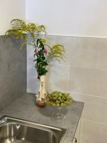 Apartment Concetta קרס מראה חיצוני תמונה